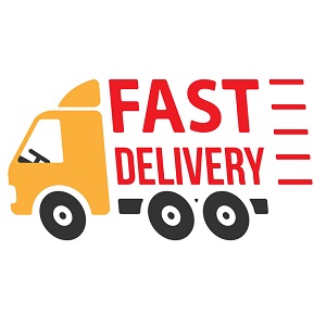 A1 Services And Solutions | Best Courier Service in New Delhi